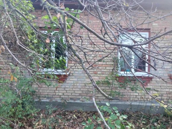 Димер, цегляний будинок 71 кв.м з газом і пічкою Димер