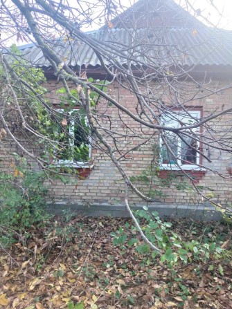 Димер, цегляний будинок 71 кв.м з газом і пічкою - фото 1