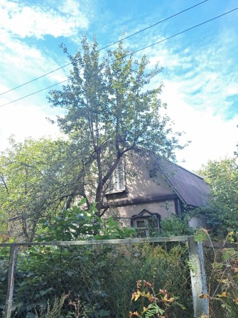 супер пропозиція Микуличі .20км.від Києва, жити в природі - фото 1