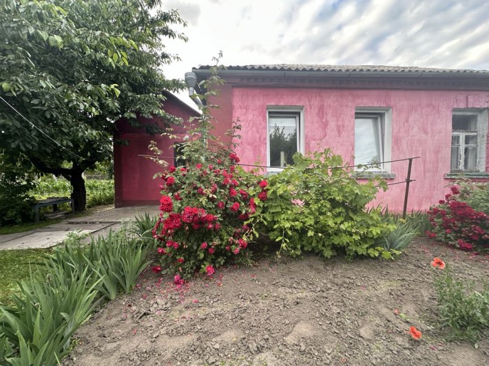 Вигідна пропозиція с.Плесецьке  Будинок під Києвом - фото 1