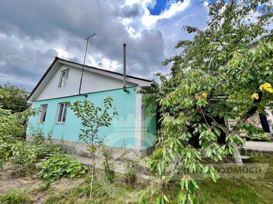 Будинок у с. Рудики, поряд р. Козинка Плюты