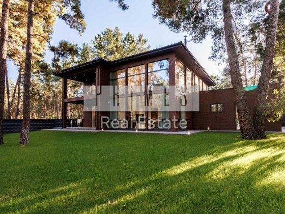 Продажа дома 350м2 в стиле модерн, участок 18 соток, Плюты Плюты