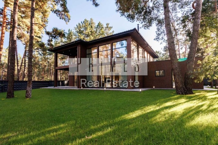 Продажа дома 350м2 в стиле модерн, участок 18 соток, Плюты - фото 1