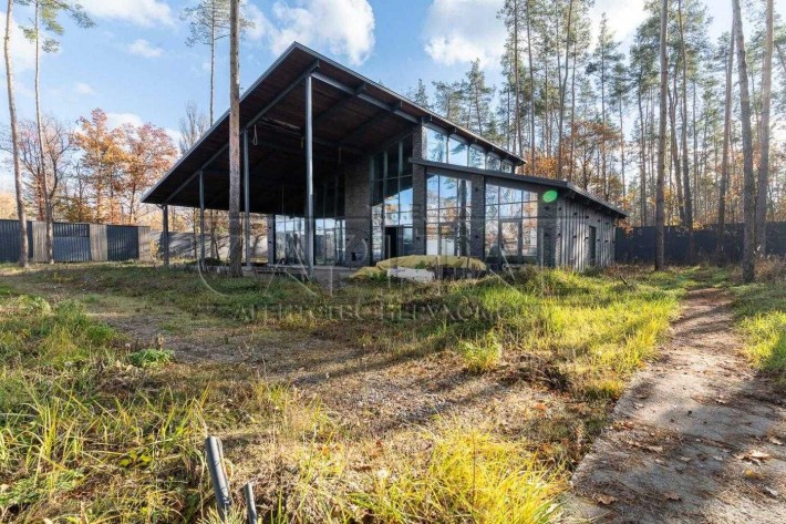 Продажа дома 275м  с большим участком 60 сот, Путровка, Васильковский - фото 1