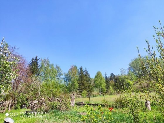 Продам дім в дуже гарному місці, недалеко від Києва, 45 соток. Старые Безрадичи