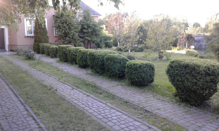 будинок ЦЕНТР Щасливе (24сотки) вул Польова - фото 1