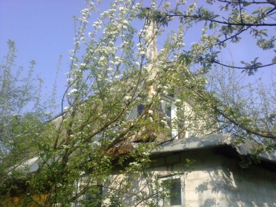 Продам дачу Дача на продаж в Чубінському ( ст Агро ) в 15 км від метро Чубинське