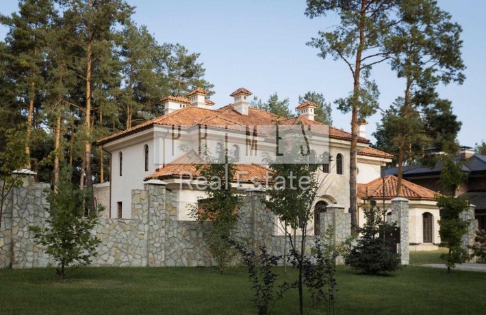 Продажа резиденции 420м2, вилла Caribbean , Pine Hill, Хотяновка - фото 1