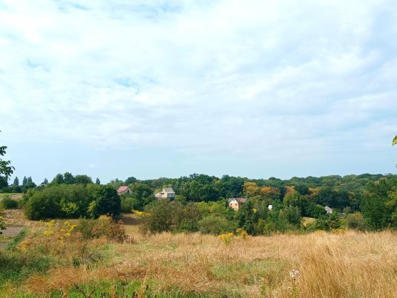 Продам земельну ділянку в с. Шкарівка.( з будиночком) Шкарівка