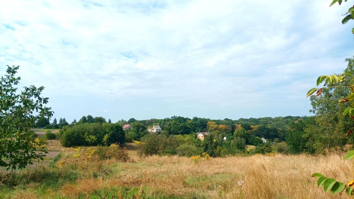 Продам земельну ділянку в с. Шкарівка.( з будиночком) - фото 1