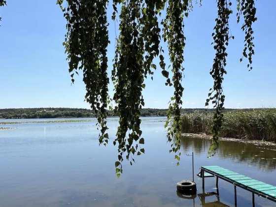 Продам будинок на березі річки! Гайворон