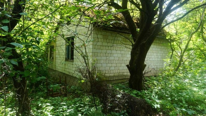 Продається дача з будиночком в передмісті Львова смт.Брюховичі - фото 1