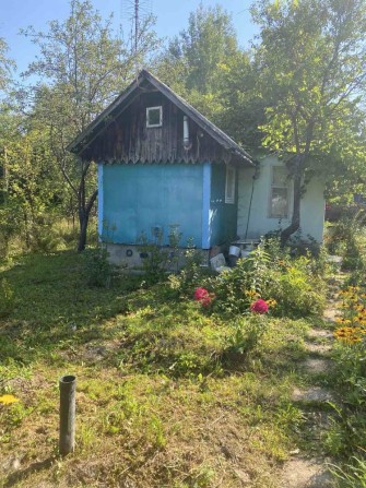 Продаж дачний будинок і прилегла земля - фото 1