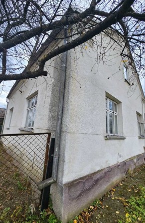 Продаж будинку  с. Конопниця з ділянкою 25 сот. - фото 1