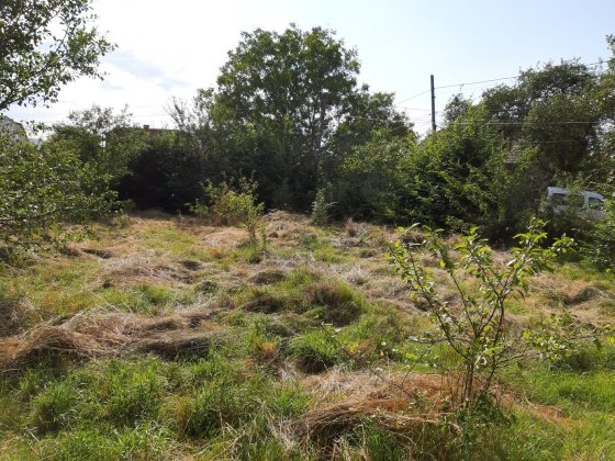 Продаж будинку, земельна ділянка, територія. Стебник