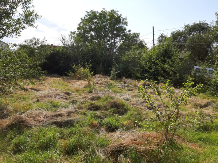 Продаж будинку, земельна ділянка, територія. - фото 1