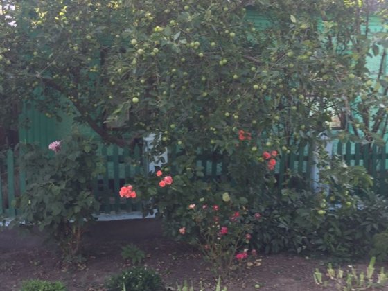 Продається будинок Снигиревка