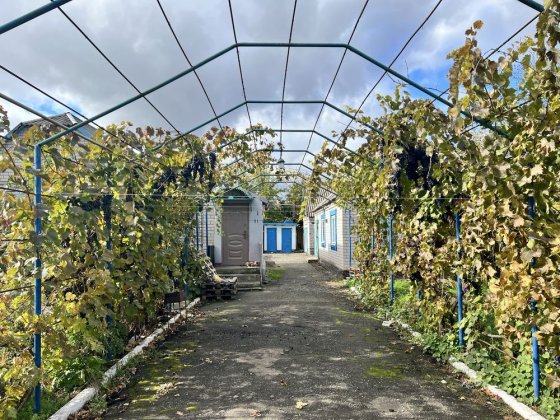 Продається будинок Новий Буг