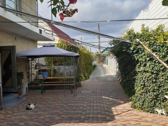 Продаются вместе : двухэтажный дом и одноэтажный дом  на Ленпоселке Авангард