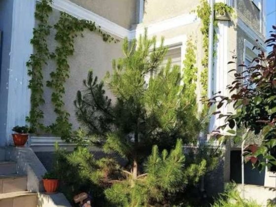 Будинок Восход 61000$ Великодолинское