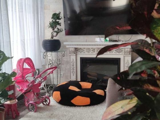 Продам дом-усадьбу с евроремонтом в Нерубайском Нерубайское