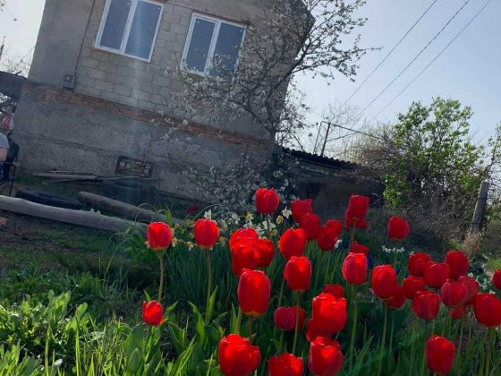 Продам крепкий  домик в Сухом Лимане Сухой Лиман