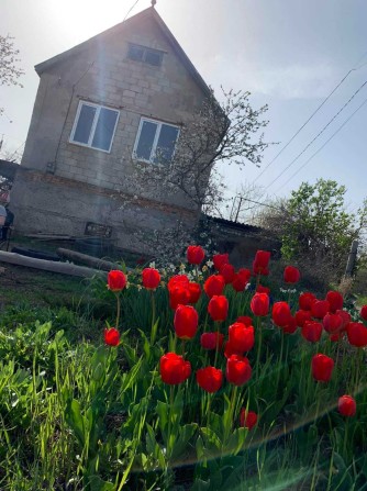 Продам крепкий  домик в Сухом Лимане - фото 1