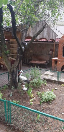 (13) Продам будинок в Сухому Лимані - фото 1