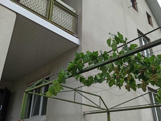 (13) Продам добротный дом из крымского ракушечника в Сухом Лимане Сухой Лиман