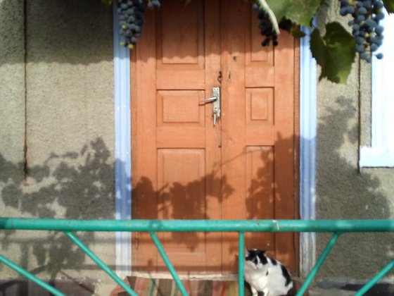 Продам частный дом в Подольске (Котовске) Подольск