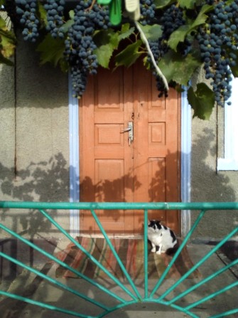 Продам частный дом в Подольске (Котовске) - фото 1