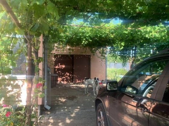 Продам!Срочно! Идеальный дом для большого семейства Таирово