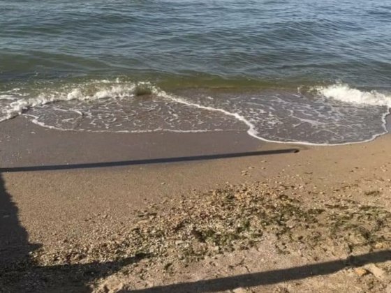 Дача в Дофиновке! Закрытый кооператив.