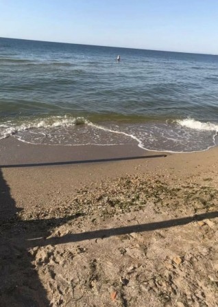 Дача в Дофиновке! Закрытый кооператив. - фото 1