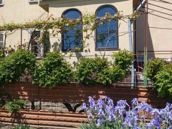 Продам будинок в селі Санжійка Санжейка