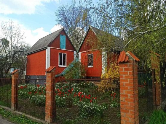 Два будинки по ціні одного в с.Супрунівка Супрунівка