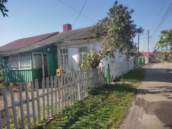 Будинок з земельною ділянкою. Власник! Терміново! Корець