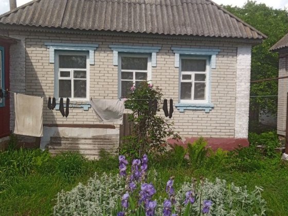 Продам полдома с приусадебным хозяйством практически даром Буринь