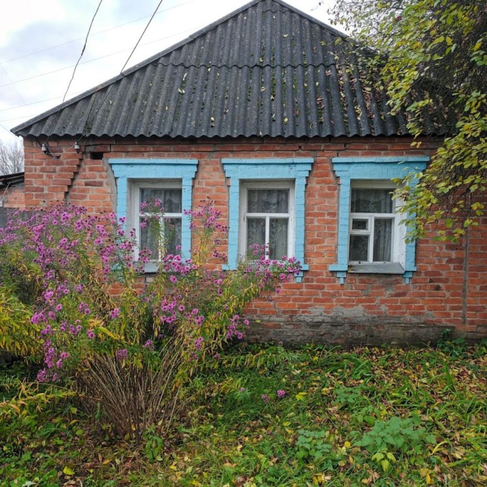 Від власника. Будинок, Верхня Сироватка - фото 1