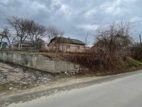 Будинок + земельна ділянка с.Петриків. Затишна вулиця. Петриків