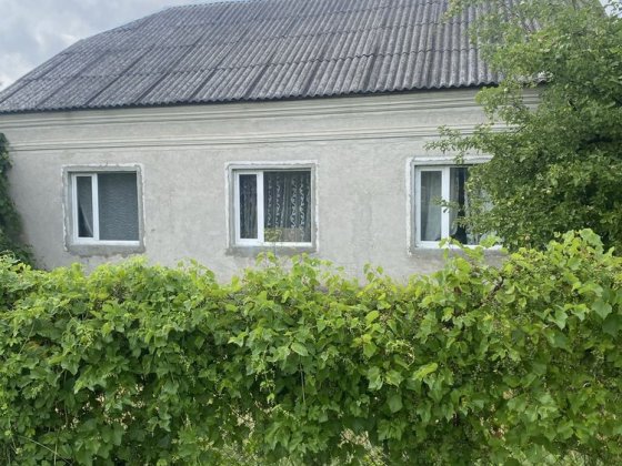 Продаеться приватний будинок .в.гаї Великие Гаи