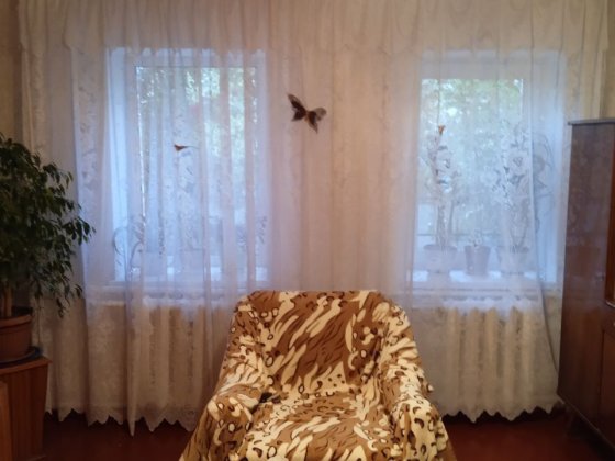 Продам дом г. Балаклея Кулиничи