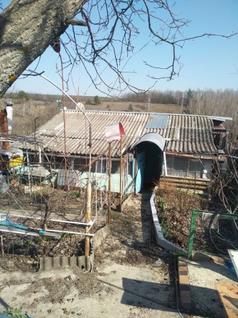 Дача в Шестаково - фото 1