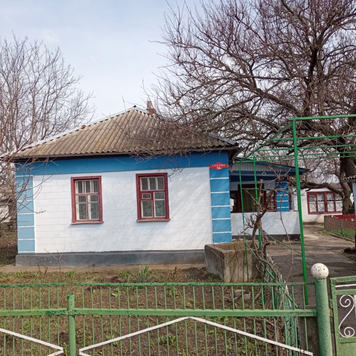 Будинок за містом - фото 1