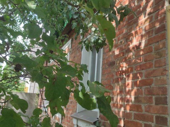 Продам дом в пригороде Харькова Покотилівка