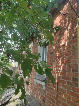 Продам дом в пригороде Харькова - фото 1