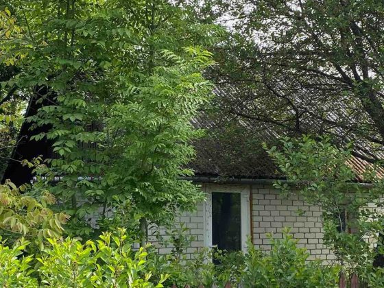 Терміново!!! Продам ділянку з будинком в с. Лісові Гринівці! 33903 Лесные Гриновцы