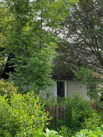 Терміново!!! Продам ділянку з будинком в с. Лісові Гринівці! 33903 - фото 1