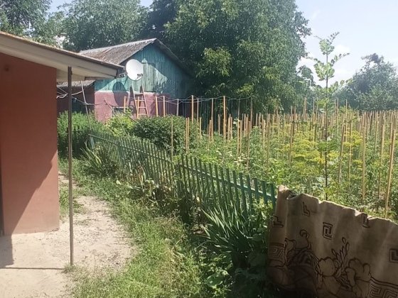 Продаж будинку в Лісових Гринівцях Лесные Гриновцы