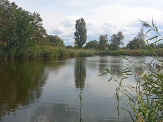 Продам дачу в садовому товаристві с. Червона Слобода Красная Слобода